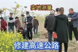 农村老家修建高速路，占用耕地每亩补偿多少元？有人欢喜有人忧！视频封面