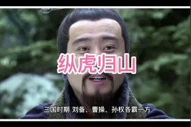 成语典故故事之“纵虎归山”视频封面
