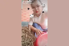 夏枯草的采摘视频封面