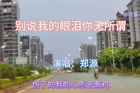 郑源演唱《别说我的眼泪你无所谓》歌声伤感心碎，唱出了失恋的痛视频封面