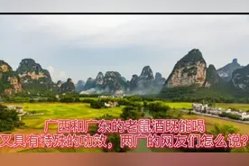 广西和广东的老鼠酒，既能喝又有特殊的功效，两广的网友怎么说？视频封面
