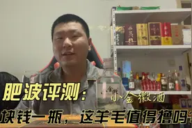 肥波评测（低端系列）：一块钱一瓶的小金徽酒，这羊毛值得撸吗？视频封面