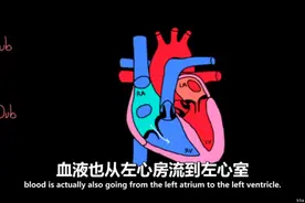 医学科普合集系列：04、心脏跳动的声音视频封面