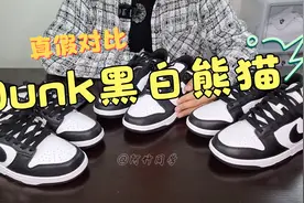 【真假对比】Dunk黑白熊猫｜6点办法教你如何避坑视频封面