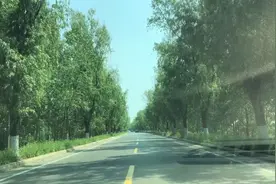淮海战役之碾庄战场遗址视频封面