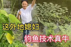 江苏老公带外地媳妇回老家钓鱼，俩人钓了多少鱼？激动坏啦……视频封面