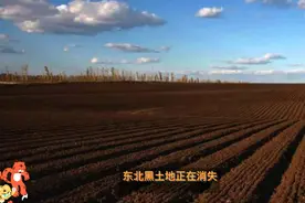 东北黑土地正在消失！过度开垦是主因？东北网友:都是南方人卖的视频封面