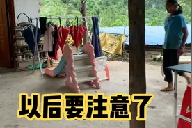 在农村那么久，第一次遇到蛇进屋的事，我和娃躲得远的，妈妈勇猛视频封面