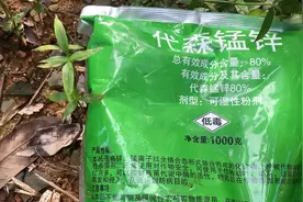 这种代森锰锌，这个时候，千万不要去使用，一旦使用，后患无穷。视频封面