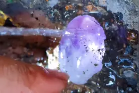 在非洲的一处废弃矿坑内挖宝石，挖到了一颗紫色的石头，非常漂亮视频封面