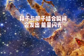 科学家观察发现  精子卵子结合瞬间会发光被证实视频封面