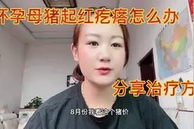 怀孕母猪浑身起红疙瘩怎么治疗，涂姐分享小妙招视频封面