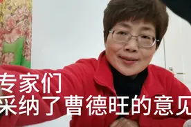 从北京到上海专家们采纳了曹德旺的意见视频封面