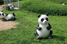 肝癌神药！黄连，黄姜，黄精，通草，丝瓜络。此药方谨送有缘人视频封面
