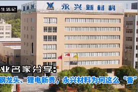 分享篇:特钢龙头、锂电新贵，永兴材料为何这么“香”？视频封面