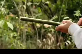 鄂西少数民族农村80后的滑叶子枪玩具你玩过没？