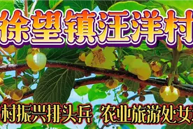 徐望镇汪洋村：乡村振兴示范村，特色生态农业观光处女地视频封面