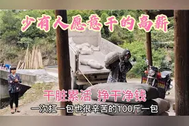最多日赚千元的农村水泥装卸工，干着又脏又重的活，挣着清白钱视频封面