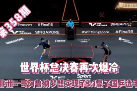 非洲一哥3:1击败大胖梁靖崑实现梦想，绿色套胶显威风视频封面