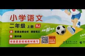 五三天天练二年级第六单元，答案分享！视频封面