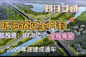 郑州陇海路东延至13大街，全程高架，与开封魏都路对接视频封面