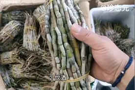 新鲜石斛有多少人见过？不但可以煲汤还可嚼服，有一股清清香草味视频封面