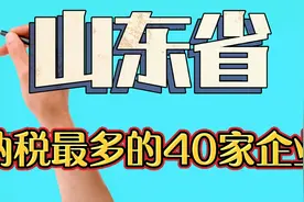 山东省纳税最多的40家企业视频封面
