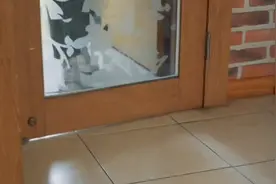 韩国理发店生意为何如此火爆视频封面