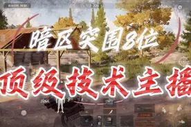 暗区突围八大技术主播，看看有没有你喜欢的。视频封面
