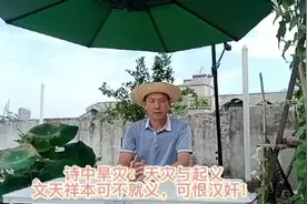 诗中旱灾：小议天灾与起义，文天祥本可不就义！视频封面