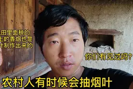 农村人有时候会抽烟叶，村民田里面自己种的，你们见过吗？视频封面