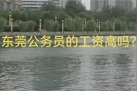 东莞公务员的工资待遇视频封面