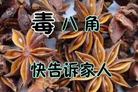 买八角，要看清“直角”还是“钩角”，别买假八角，奸商无处遁形视频封面