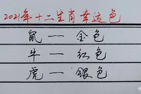 2021年十二生肖幸运色视频封面