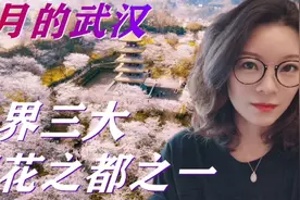 武汉哪儿樱花最好看？武大樱花源自哪里？🌸片尾附“赏樱预报图”视频封面