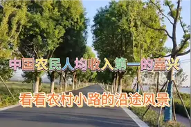 农民人均收入排名中国第一的嘉兴农村什么样？带你看看嘉兴市农村视频封面