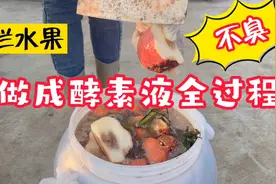 烂水果做成酵素液全过程，种瓜果蔬菜好肥料，方法简单粗暴还不臭