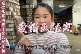 好物分享｜小燕子和爸爸在家修理房屋，没有农村的影子缺少了灵魂视频封面
