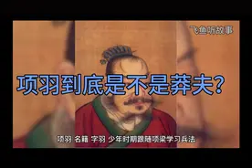 项羽到底是不是莽夫？视频封面