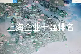 上海企业十强排名视频封面