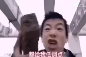 我就是玩这个游戏最牛逼的，不服给我憋着视频封面