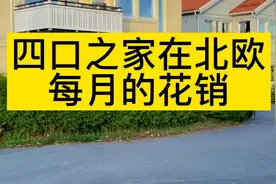 在北欧生活一定要勤俭节约，因为消费太高了！视频封面