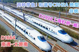 都是和谐号CRH2A 长得却不一样，同角度看统型与非统型CRH2A带鱼视频封面