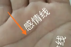 手掌三条线视频封面