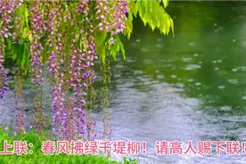 妙联！对出此联算你牛！上联：春风拂绿千堤柳！请高人赐下联！视频封面
