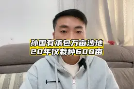 孙国友承包万亩沙地20年仅栽种600亩？视频封面