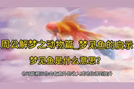 周公解梦之动物篇_梦见鱼#周公解梦 #梦见鱼视频封面