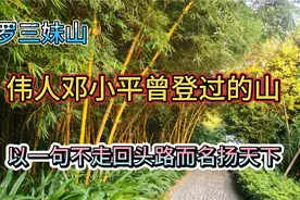 罗三妹山因伟人邓小平同志一句“不走回头路”而名扬天下。视频封面