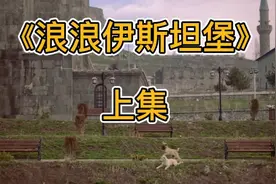 这个国家的流浪狗居然被保护！视频封面