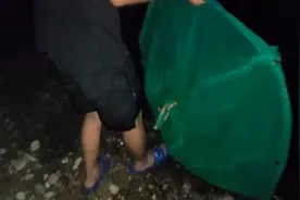 晚上带着网子出来抓白条视频封面